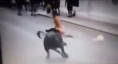 HMB while I running away from this bull.