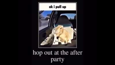 Ok he pull up