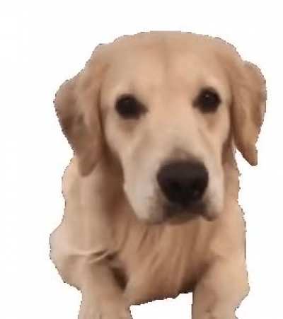 Smile_irl