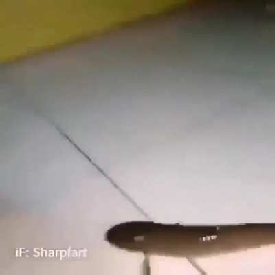 Fds. EVOLUÇÃO!!!!!!