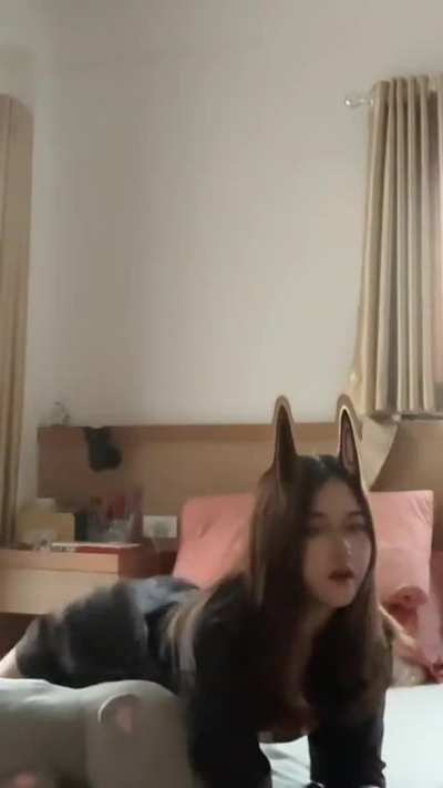 bed twerk