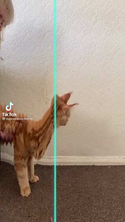 Early giraffe prototype exposed