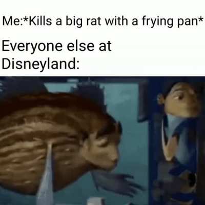 These oversized rats should not be allowed to roam freely smh.