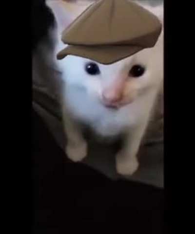 him