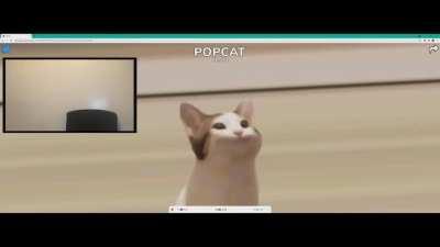 Malaysians rn . - Intense racing POPCAT score .