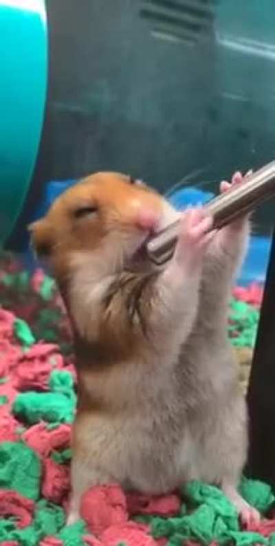 Maybe Maybe Maybe