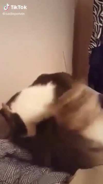 Such a betrayal...