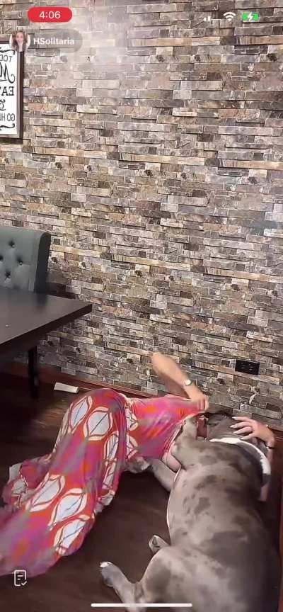 The vid