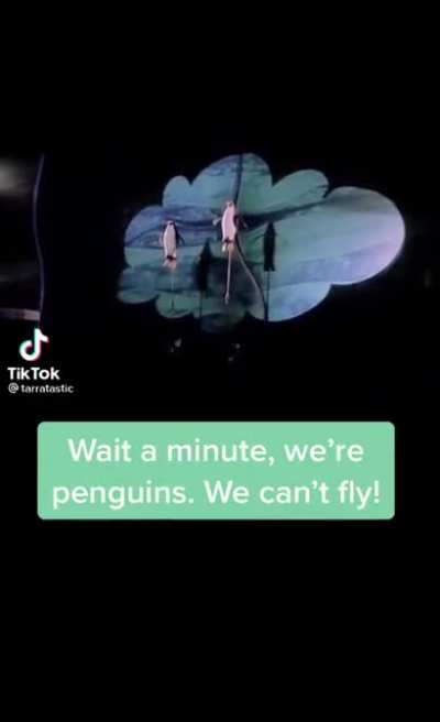 We can’t fly
