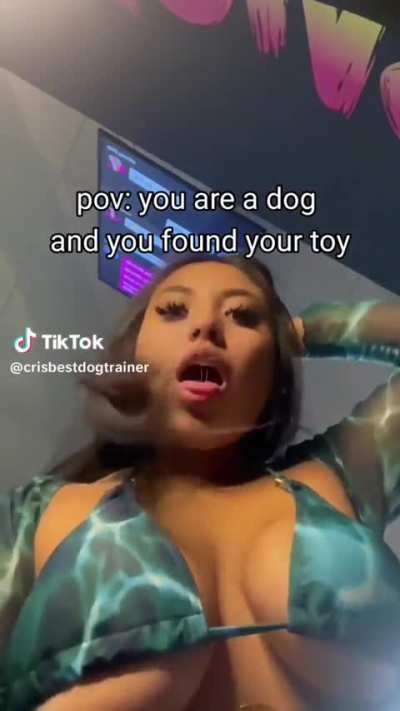 @crisbestdogtrainer
