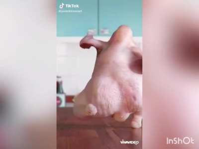 Might be 18+