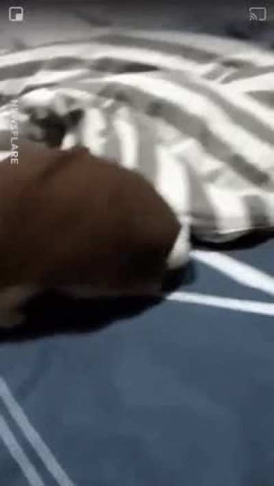 bolita