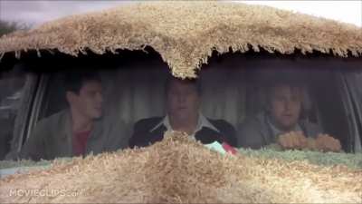 Dumb and dumber