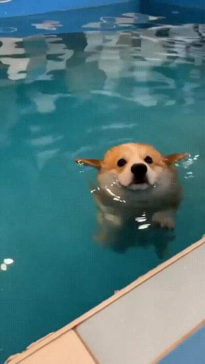 Swimmy boy
