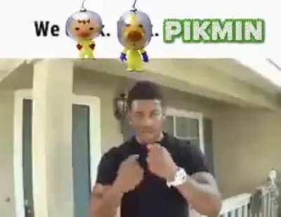me talking about pikmin (its a special interest and ive been talking about it for 1 hour)