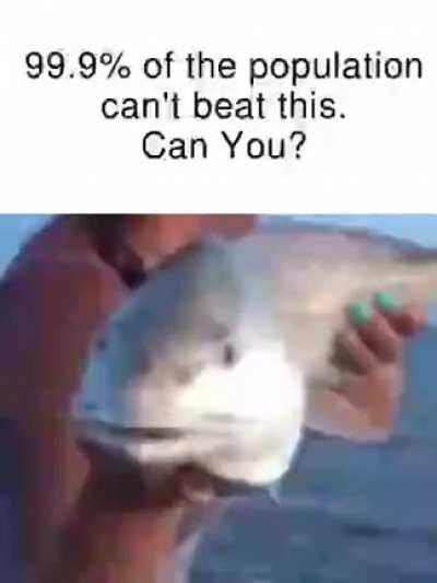 Rule, but would you?