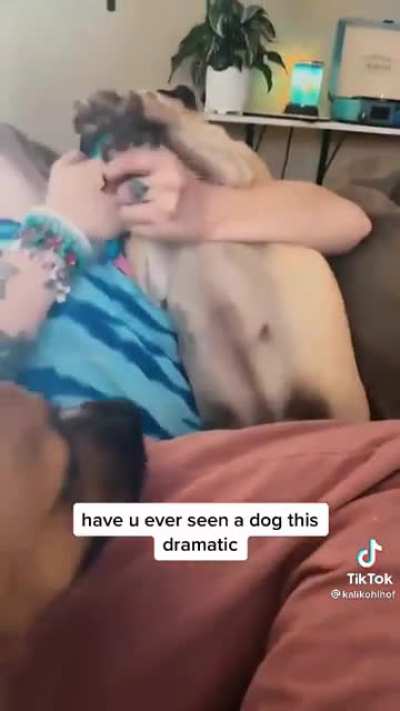 AAAAAA
