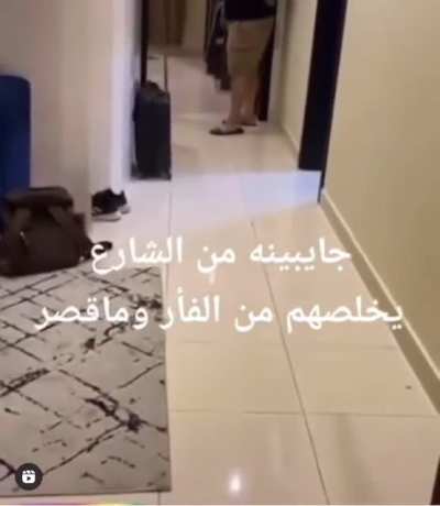 They got a cat from the streets to catch a mouse at home.