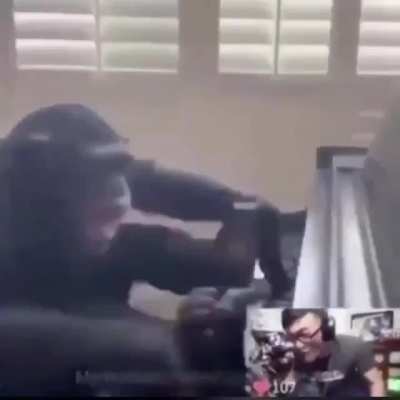 monke overstreaming