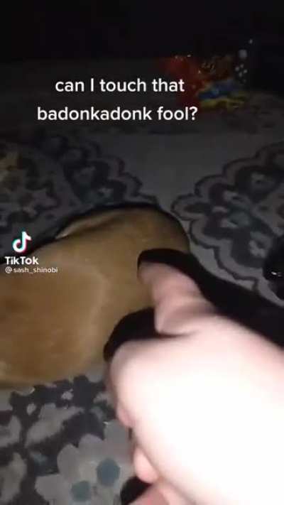 Badonkadonk