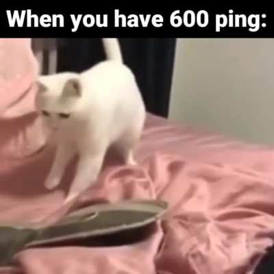 Lags in the Matrix