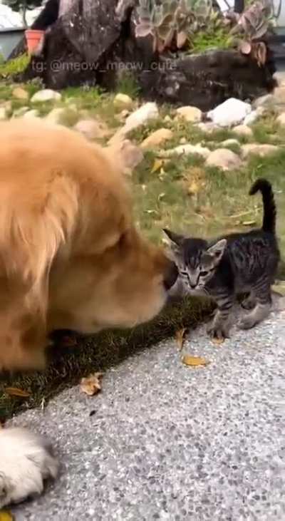 You my best friend.