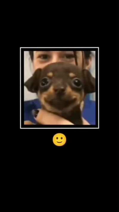 :)