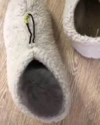 A little surprise