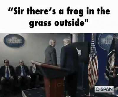 rule 🐸