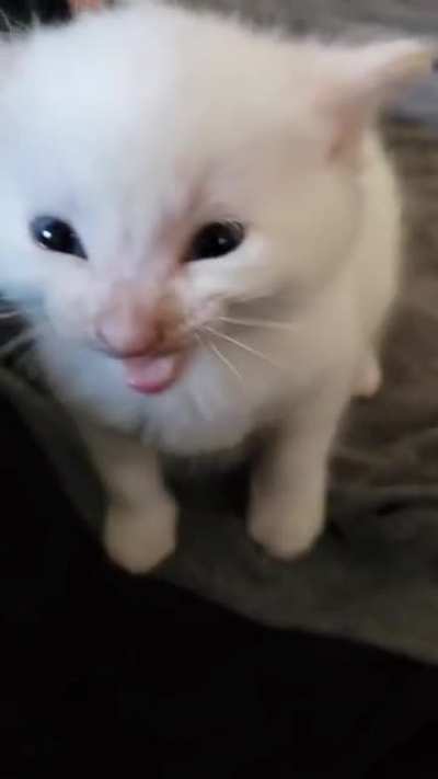 Hi herbert