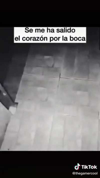 Pov: eres.....