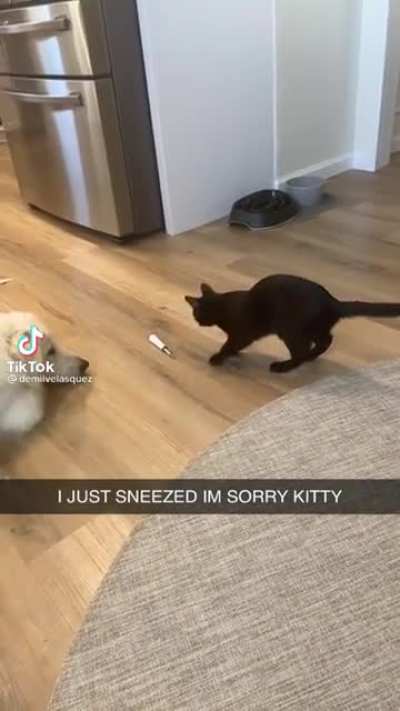 Iz just a sneeze