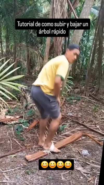 Alguna duda?