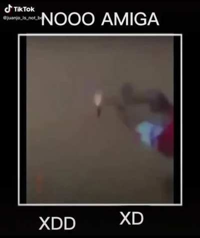 XDD XD