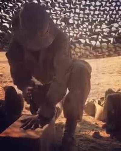 com ele cantando parece q é brincadeira de criança