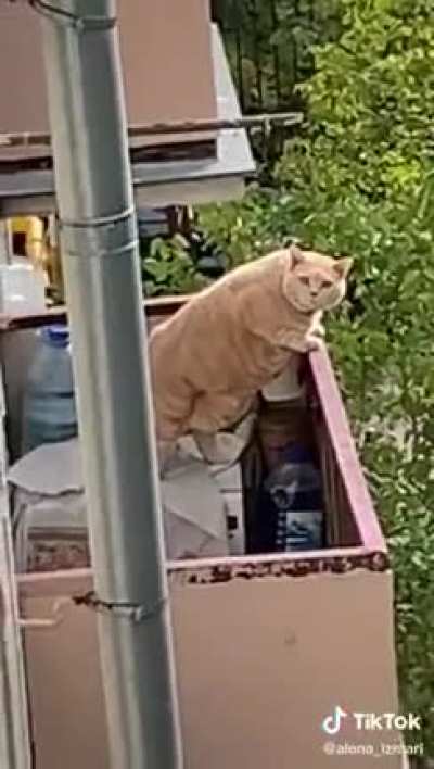 Таити, Таити... Не были мы в никакой Таити! Нас и здесь неплохо кормят.
