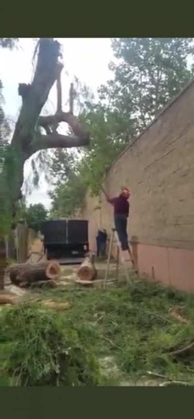 Good thing he wore a helmet…