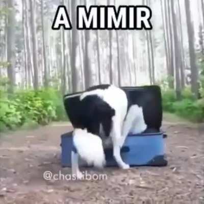 boa noite