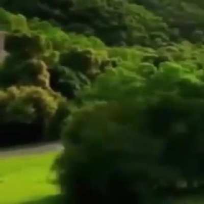 What a nice car