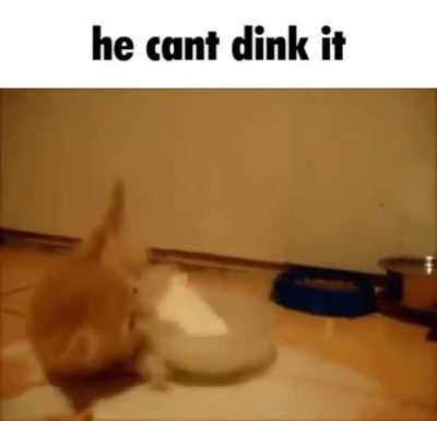 Idiot stupid