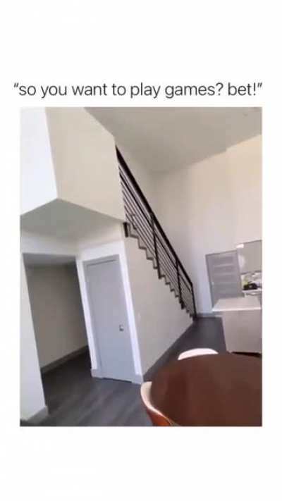 When your human wants to play catch