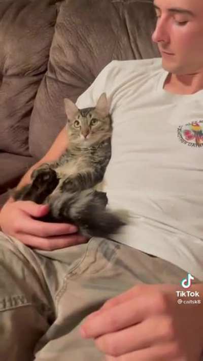 On this episode of “I don’t want a cat”