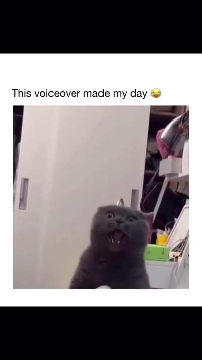 laughing villain 😅😂