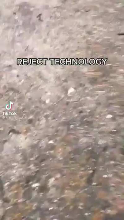 I think this fits here