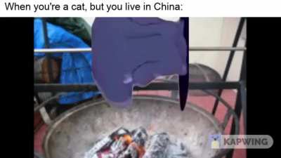 RIP Tom