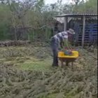 The grass is moving