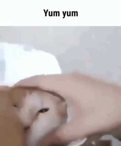 delicious