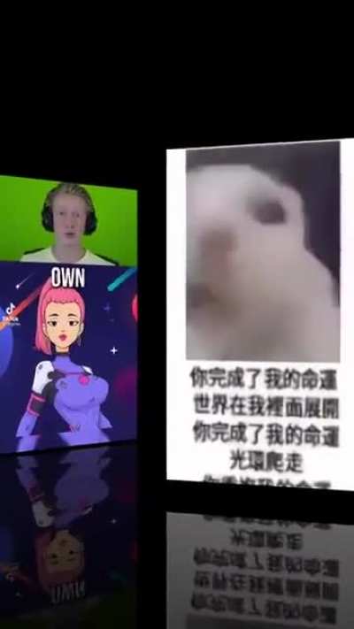 China 👌