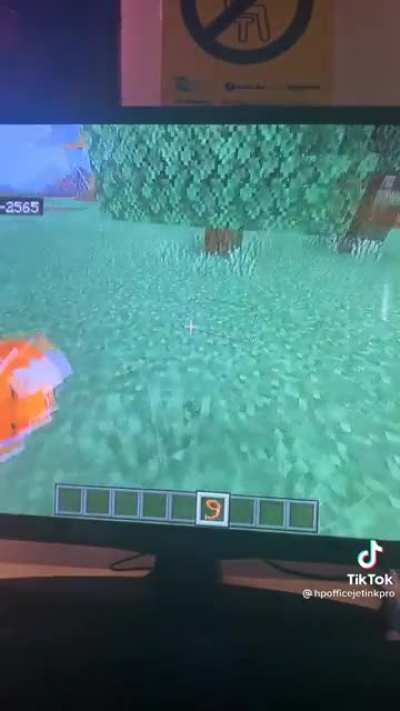 Kid endured a traumatic experience in Minecraft