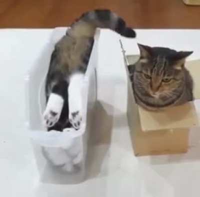 That's style